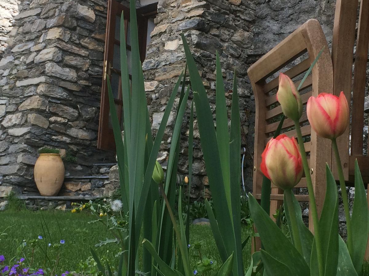 Bed & Breakfast La Stregatta 3*