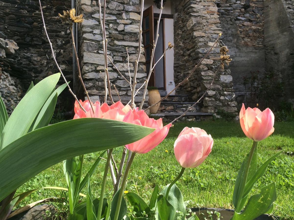 Bed & Breakfast La Stregatta